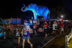 BIB: 
                            <button type="button" onclick="openModal(26552309)" class="btn btn-primary btn-sm float-right btn-popup" data-toggle="modal" data-target=".modal-high-quality">
                        <i class="fas fa-shopping-cart"></i> Add to Cart
                    </button>
                                            <button type="button" onclick="isThisMe(26552309, true)" class="btn btn-success btn-sm float-right btn-popup btn-isme hidden" data-toggle="tooltip" data-placement="bottom" title="นี่คือรูปของคุณใช่ไหม คลิกที่นี่เพื่อเอาเข้าอัลบั้ม">
                        <i class="fas fa-plus"></i> Add to album
                    </button>
                    <button type="button" onclick="isThisMe(26552309, false)" class="btn btn-warning btn-sm float-right btn-popup btn-isnotme hidden">
                        <i class="fas fa-ban"></i> Remove from album
                    </button>